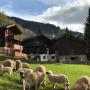 Apartments - Blatten bei Naters, Danica DA3