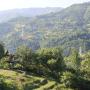 Guest houses - Tsʼkhmorisi, Diamond mountain guest house