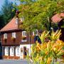 Hotely - Kurort Jonsdorf, Dammschenke Gasthof & Hotel