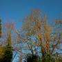Bed & Breakfast - Cromer, Thornybank