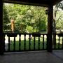 Bed and Breakfasts - Bijelo Polje, B&B Etno House Moon