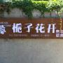 Hostels - Dengfeng, Gardenia Blossom Youth Hotel