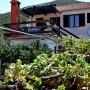 Holiday homes - Gdinj, Holiday Home Uvala Zarace 2048