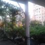 Apartments - Batumi, Apartment Irenbee
