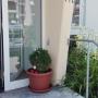 Apartmány - Scheidegg, Rosenalm Appartment 231