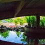 Holiday parks - Higuey, Banana Ranch Villages