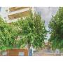 Apartmány - Pineda de Mar, Two-Bedroom Apartment in Pineda de Mar
