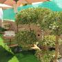 Hostely - Braga, Amelia´s House