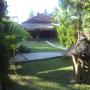 B&B (nocľahy s raňajkami) - Kuta Lombok, Sasak Homestay