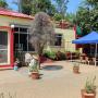 Agriturismi - Mahabaleshwar, Room in a farmhouse in Haroshi, Mahabaleshwar, by GuestHouser 21059