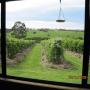Bed & Breakfasts - Murroon, Pennyroyal Raspberry Farm & Cidery