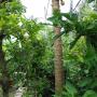 Priváty - Bến Tre, Ben Tre Stay
