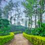 Chalets - Ammatti, Room in a bungalow in Ammathi, Kodagu, by GuestHouser 16827