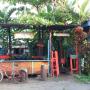 Hostely - Manzanillo, Caricako Hostel