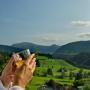 Hotely - Oberstaufen, Königshof Health & View "Gesundheitszentrum für Naturheilverfahren"