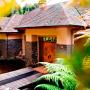 Resorts - Horohoro, Treetops Lodge & Estate