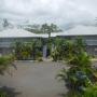 Apartments - Lepea, Samoa Sport Lodge
