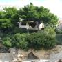 Ferienwohnungen - Omiš, Villa Maristika