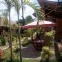 Гостевые дома - Баньюванги, Java Sunrise Homestay