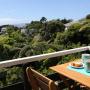 Nyaralók - Wellington, Conifer House