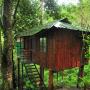Villas - Vayittiri, Honeyrock Resorts