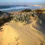 Апартаменты - Пениши, West House Peniche Praia do Cerro