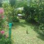 B&B (nocľahy s raňajkami) - Providencia, Posada Manchineelroad