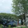Apartmanházak - Tepoztlán, Cabaña Los Encinos