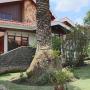 B&B (nocľahy s raňajkami) - Cuenca, Casa Todosantos