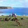 Лоджи - Stokes Bay, Waves & Wildlife Cottages Kangaroo Island