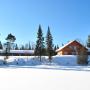 Мотели - Lac-Saguay, Motel Ours Bleu