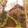 B&B (nocľahy s raňajkami) - Munnar, Clouds Land