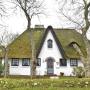 Apartmány - Archsum, Friesenhaus-Sieben-Linden-Whg-Tina