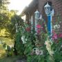 Apartmány - Morsum, Alleinlage - Erholung pur - Morsum