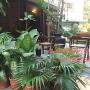 Homestays - Ahmedabad, The Boutique Home Stay - Utelia House No.9