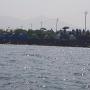 Kempingy - Lonavala, Pawanai river side camping (pawna lake)