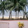 Hotels - Kalutara, Petters Beach Inn