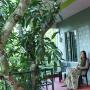 Penziony – hostince - Thekkady, Periyar Green Bed & Breakfast
