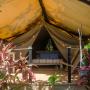 Hotels - Playa Grande, Flor y Bambu