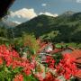 Apartmány - Bad Hindelang, FEWO Schwandenhof