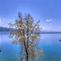 Appartamenti - Incline Village, Lakeshore BoulevardApartment 1