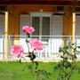 Apartmánové hotely - Kavos, Rantos Apartments