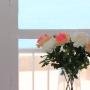 Apartmány - Nerja, Studio Marina II Nerja