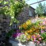 Bed and Breakfasts - Yeghegnadzor, B&B Ruzan
