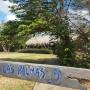 Апартаменты - Эль-Лимон, Las Palmas Surf Lodge