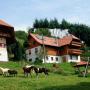 Farmy - Schweighausen, Schwoererhof