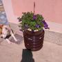 Appartamenti - Vrdnik, Milica Apartmani