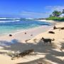 Zelt-Lodges - Utila, Camp Utila