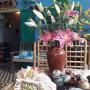Priváty - Quy Nhon, Nau's House - Homestay