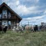 Penziony - Käina, Roose Country House and Tiny Guesthouse